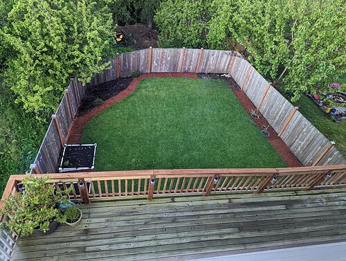 A lawn in Tacoma, WA