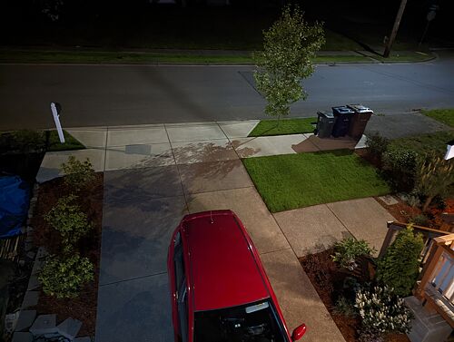 A lawn in Tacoma, WA