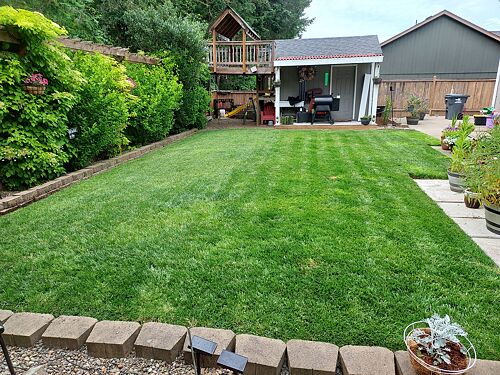 A lawn in Veneta, OR