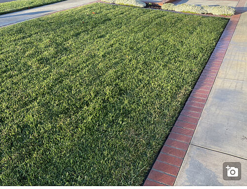 A lawn in La Habra, CA