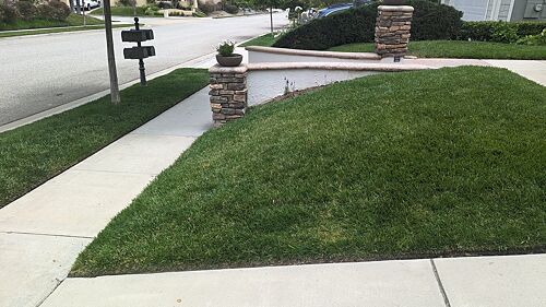 A lawn in Thousand Oaks, CA