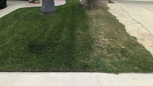 A lawn in Thousand Oaks, CA