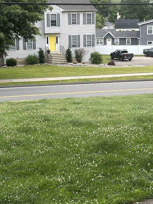 A lawn in Cheshire, CT