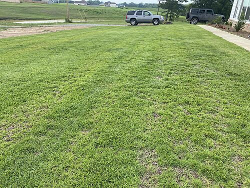 A lawn in Enterprise, AL