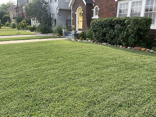 A lawn in Oklahoma City, OK
