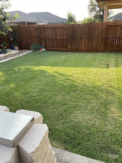 A lawn in San Antonio, TX