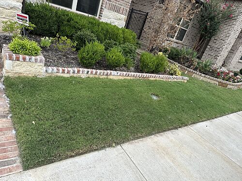 A lawn in Dallas, TX