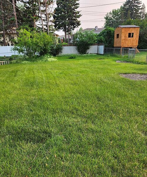 A lawn in Bismarck, ND