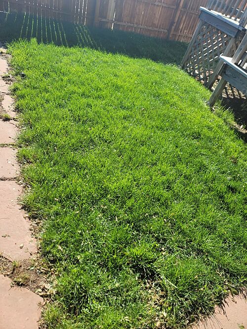 A lawn in Pueblo, CO