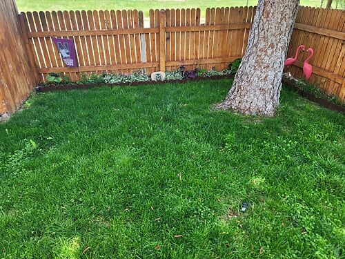 A lawn in Pueblo, CO