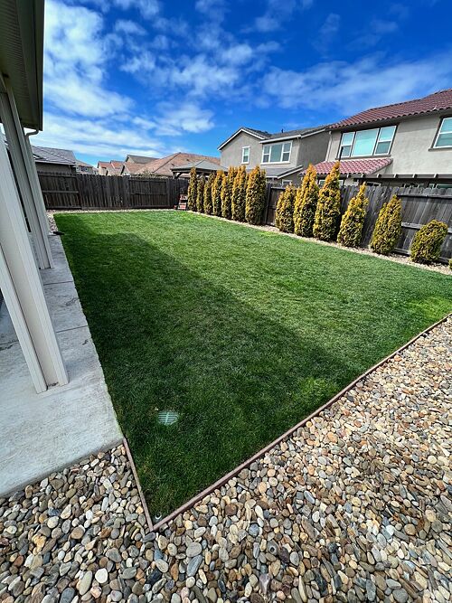 A lawn in Roseville, CA