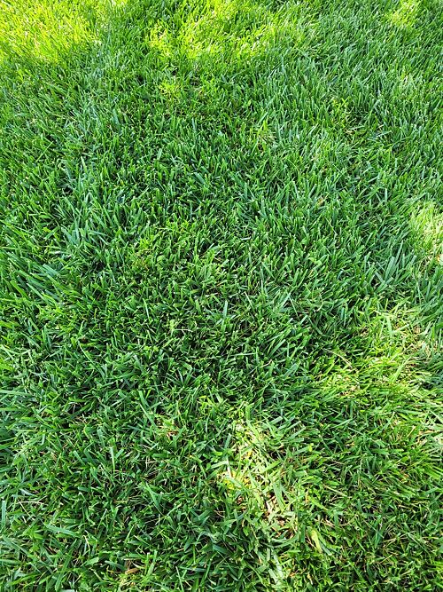 A lawn in Derby, KS