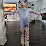 Image of Review by Rebecca R. on 20 Jun 2023 number 1