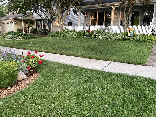 A lawn in Crystal Lake, IL