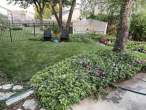 A lawn in Crystal Lake, IL