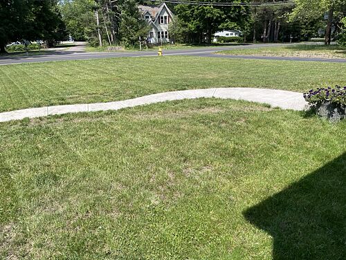 A lawn in Webster, NY