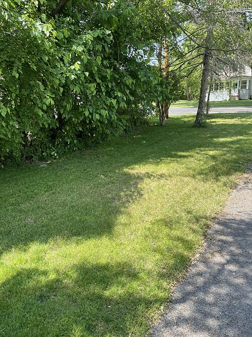 A lawn in Webster, NY
