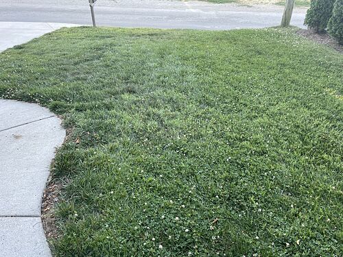 A lawn in Nashville, TN