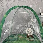 Image of Review by Becky R. on 21 Jun 2023 number 2
