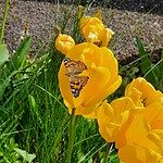 Image of Review by Becky R. on 21 Jun 2023 number 1