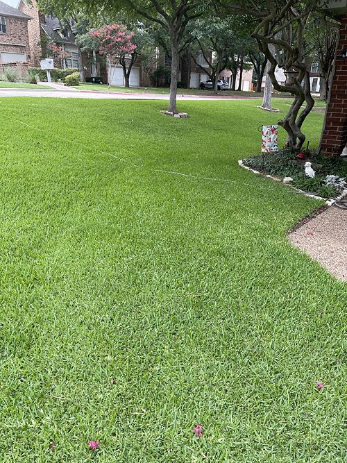 A lawn in Irving, TX