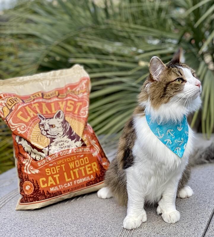 Catalyst Pet customer photo shared by @Bad.Hemi