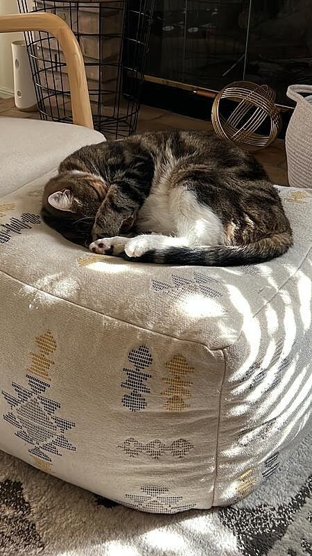 Catalyst Pet customer photo shared by Ling L.