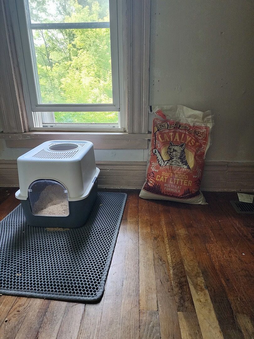 Catalyst Pet customer photo shared by Sylvia S.