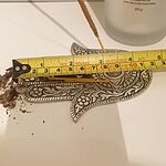 Image of Review by Marcia D. on 21 Jun 2023 number 1