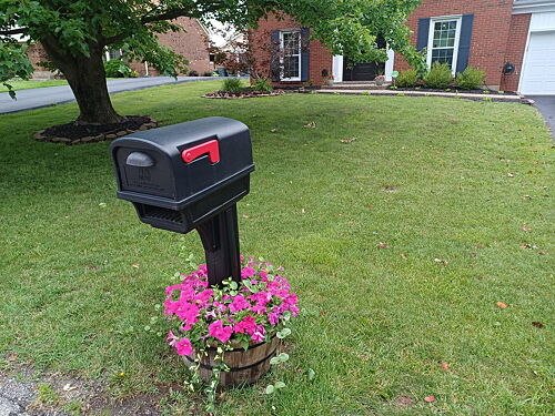 A lawn in Louisville, KY