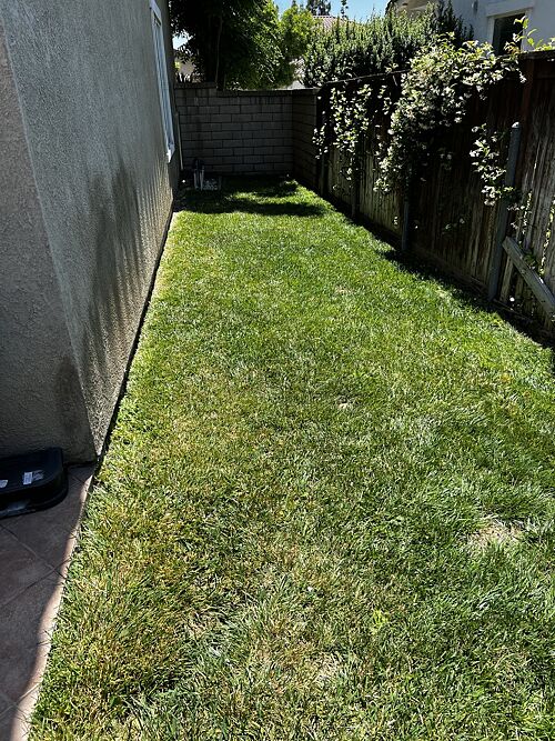 A lawn in Rancho Cucamonga, CA