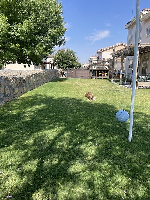 A lawn in El Paso, TX