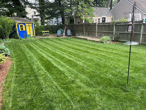 A lawn in Needham, MA