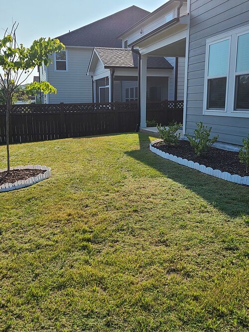A lawn in Holly Springs, NC