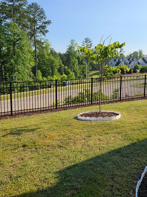 A lawn in Holly Springs, NC
