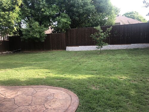 A lawn in McKinney, TX