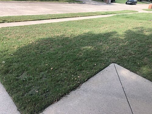 A lawn in McKinney, TX