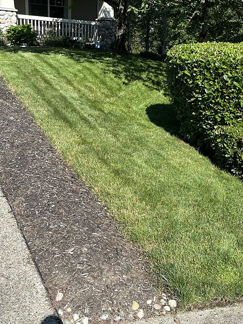 A lawn in Renton, WA