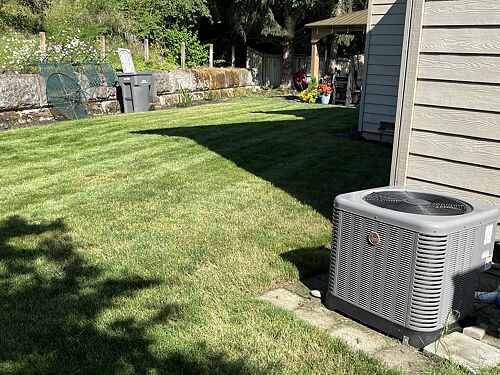 A lawn in Renton, WA