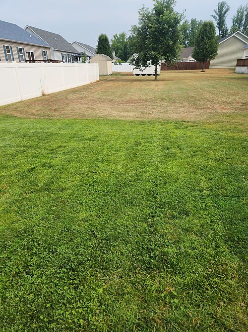 A lawn in Felton, DE