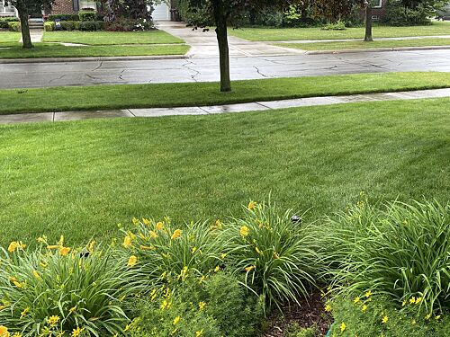 A lawn in Grosse Pointe Woods, MI