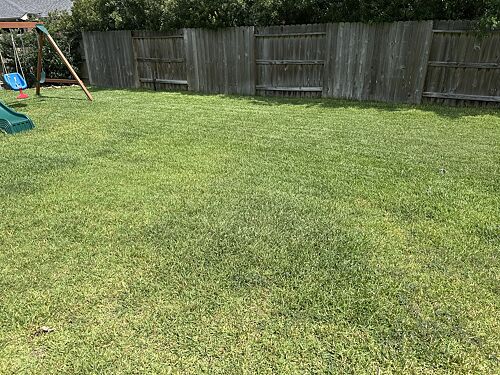 A lawn in Katy, TX
