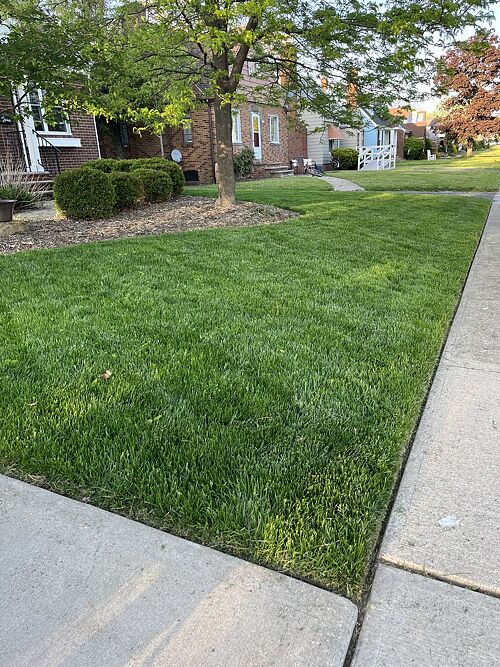 A lawn in Cleveland, OH