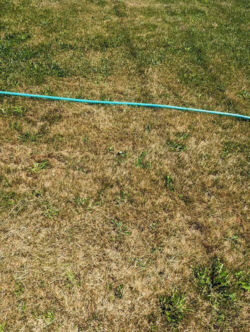 A lawn in Idaho Falls, ID