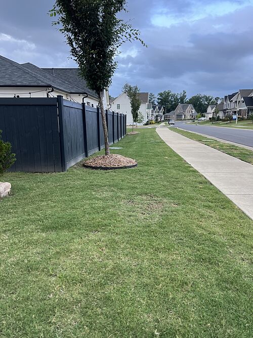 A lawn in Birmingham, AL