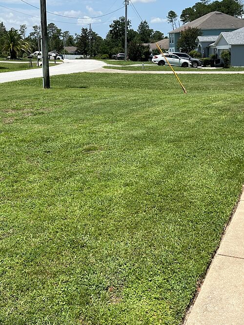 A lawn in Ocala, FL