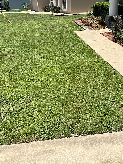 A lawn in Ocala, FL