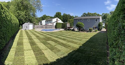 A lawn in Niskayuna, NY