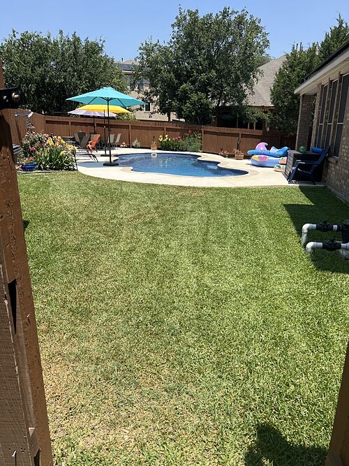 A lawn in San Antonio, TX