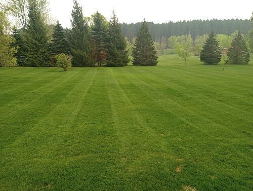 A lawn in Big Lake, MN